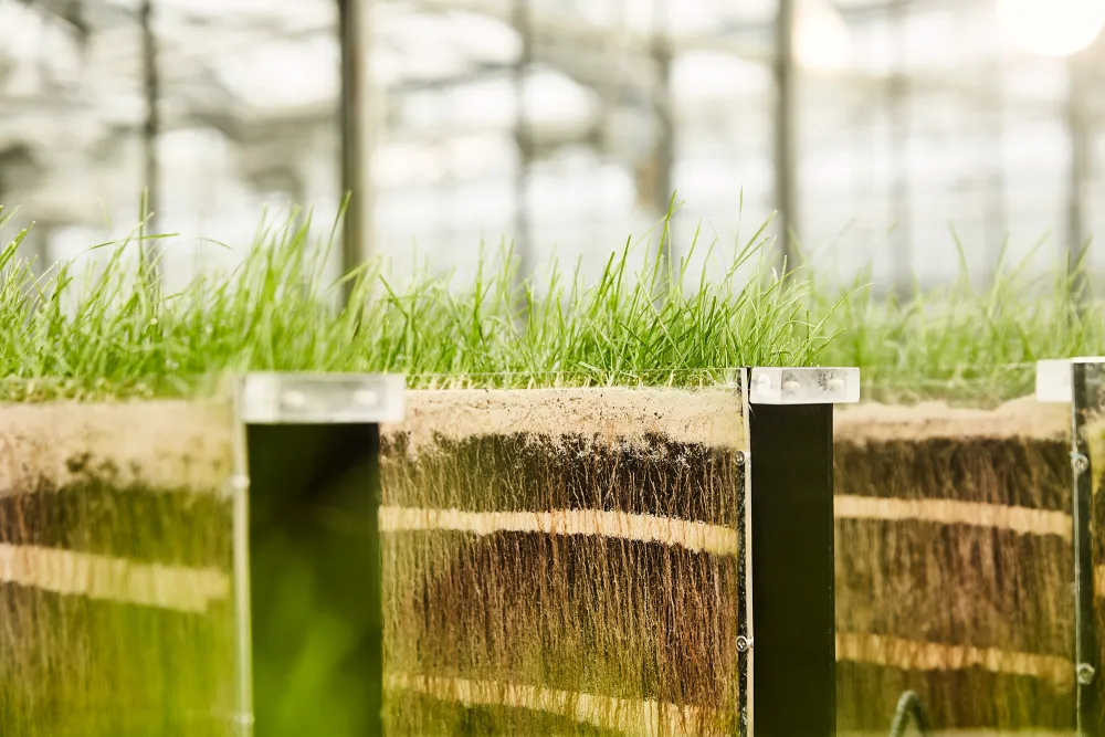 R&amp;D Content Picture