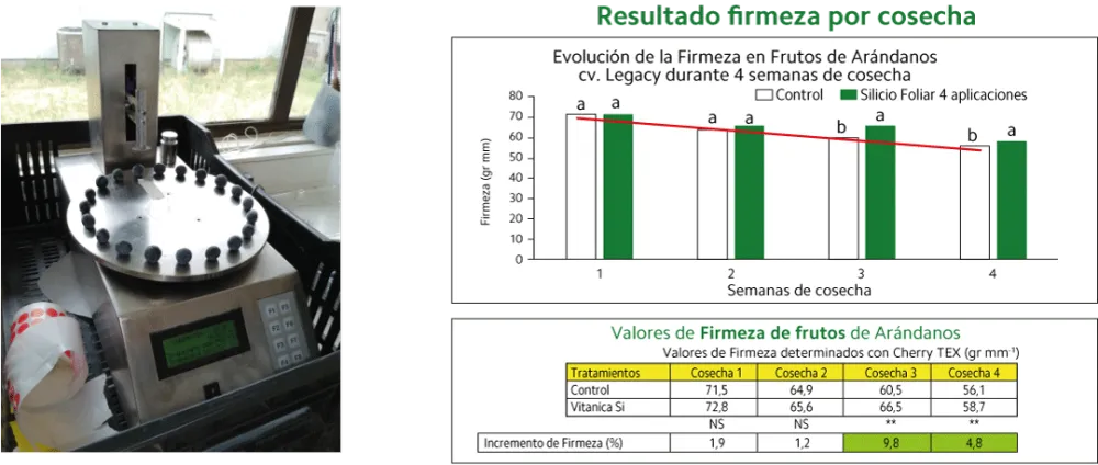 Gráfico-firmeza-por-cosecha