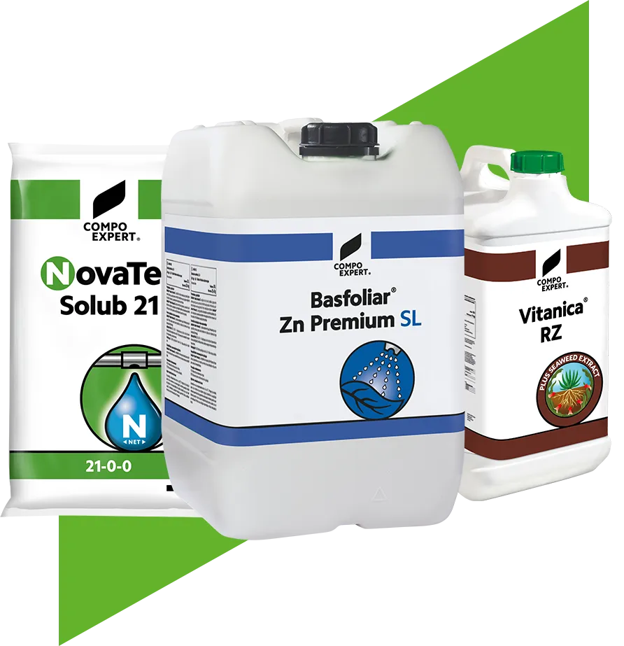 Product Finder Teaser