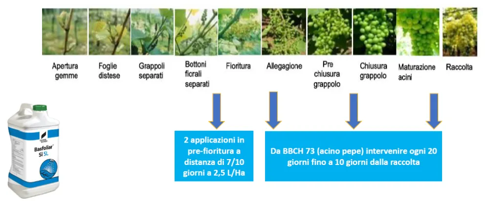 Protocollo di applicazione Basfoliar Si