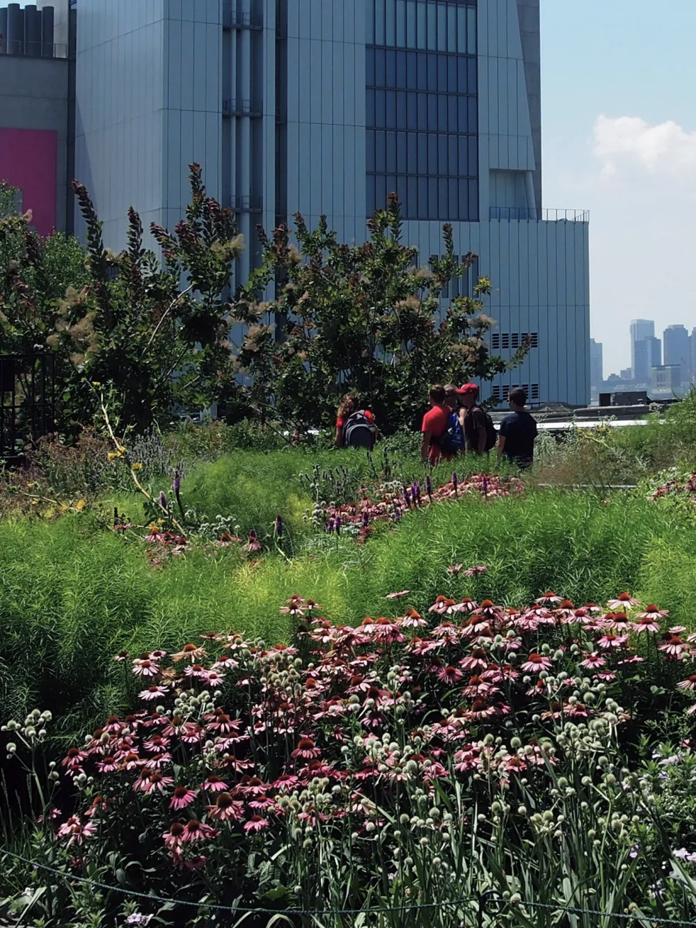 turf-public green-public green-v