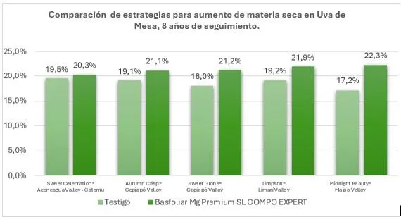 estrategia de aumento de materia seca en uva de mesa compo expert.jpeg