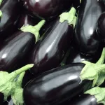 vegetables-aubergine-title