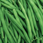vegetables-beans-title