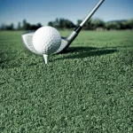 turf-public green_golf turf-title