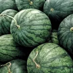 vegetables-melon-title