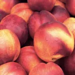 stone fruits peach-title