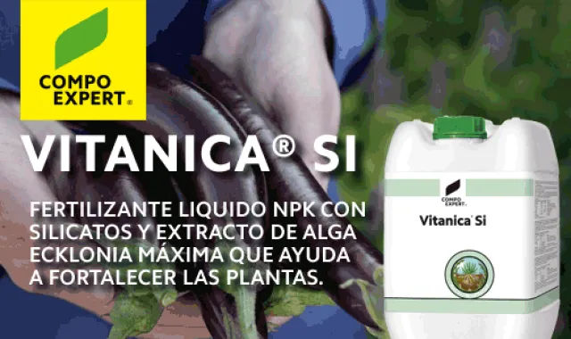 Vitanica® Si: la fuerza de tu cultivo