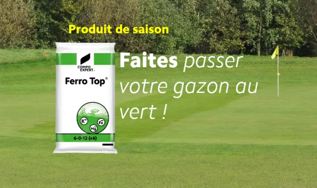 Ferro Top engrais granulé de reverdissement enrichi en fer