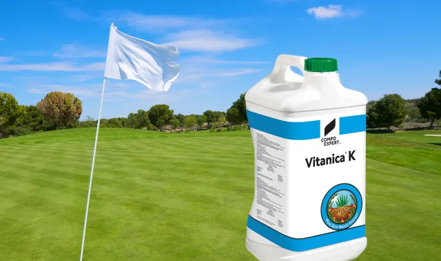 Pressemeldung Vitanica K