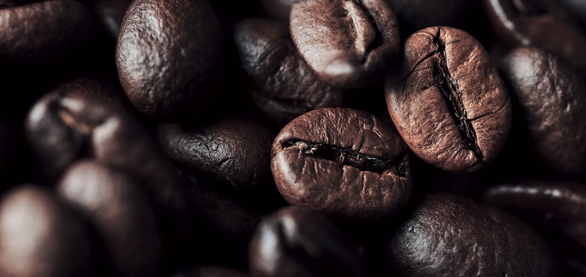 Café - Fertilizantes y bioestimulantes para café