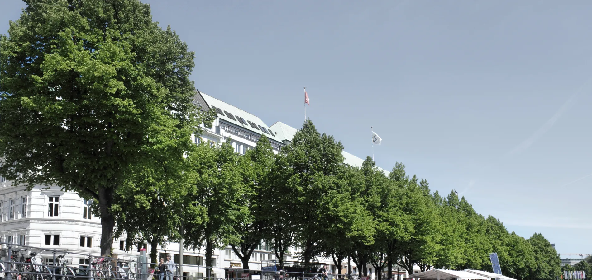 turf-public green-city trees-title