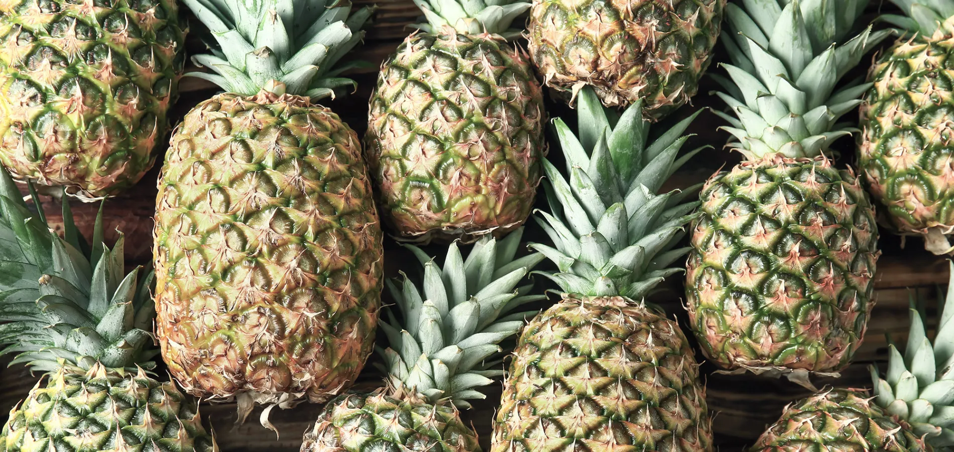 fruits pineapple-title