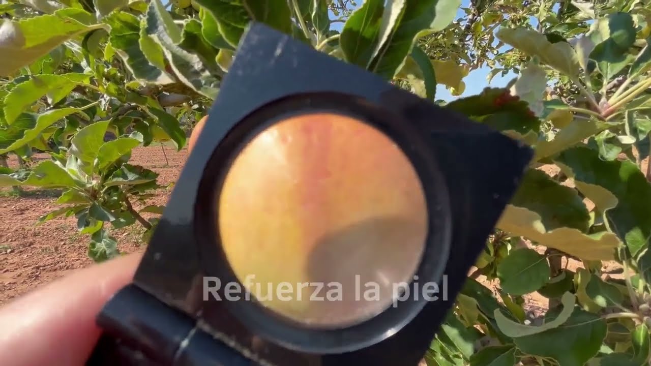 Refuerza la piel del fruto y aumenta el rendimiento de tus frutales - Fertilizantes COMPO EXPERT